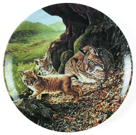 Great Cats of The Americas Bobcat - Boxed