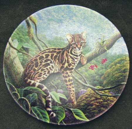 Great Cats of The Americas Margay - Boxed