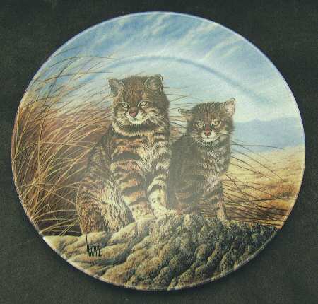 Great Cats of The Americas Pampas Cat - Boxed