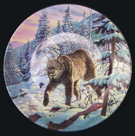 Great Cats of The Americas Lynx - Boxed