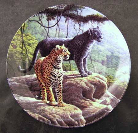 Great Cats of The Americas Jaguar - With Box