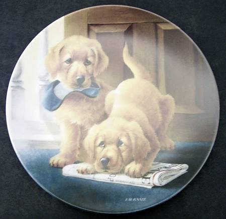 Its A Dogs Life Retrieving Our Dignity - Boxed