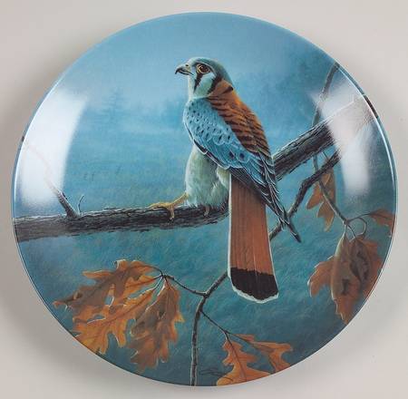 Majestic Birds of North America The American Kestrel - Boxed