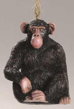 Wild Animals Chimpanzee - No Box