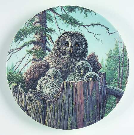 Under Mothers Wing-Plate Forest's Edge:Great Gray Owls - Boxed