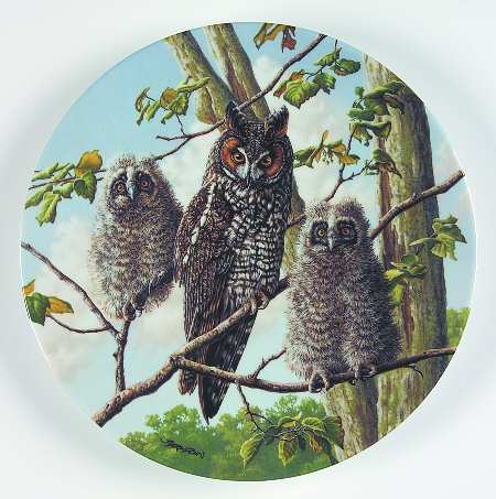 Under Mothers Wing-Plate Treetop Trio:Long-Eared Owls - Boxed