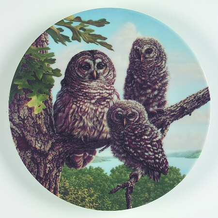 Under Mothers Wing-Plate Perfect Perch:Barred Owls - Boxed