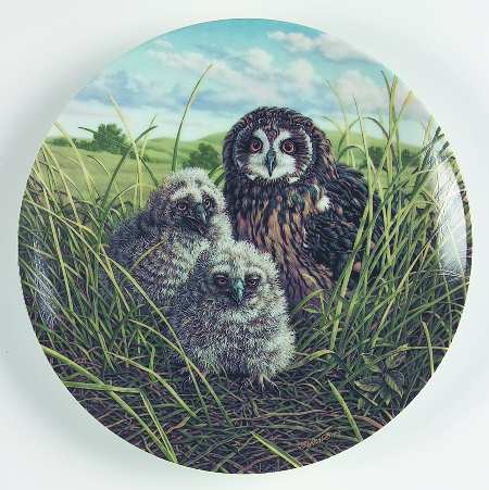 Under Mothers Wing-Plate Happy Home:Short-Eared Owl - Boxed