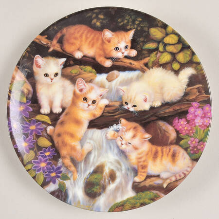 Kitten Expeditions At The Little Waterfall - No Box