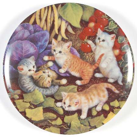 Kitten Expeditions In The Vegetable Patch - No Box