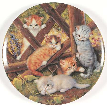 Kitten Expeditions At The Garden Fence - No Box