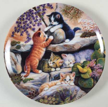 Kitten Expeditions In The Rock Garden - No Box