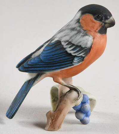 Birds Bullfinch (Colored Bisque) - No Box