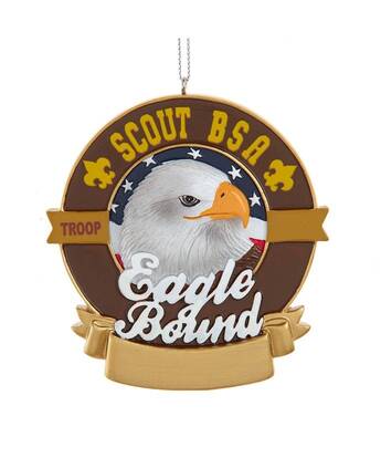 Boy Scouts Eagle Bound - No Box
