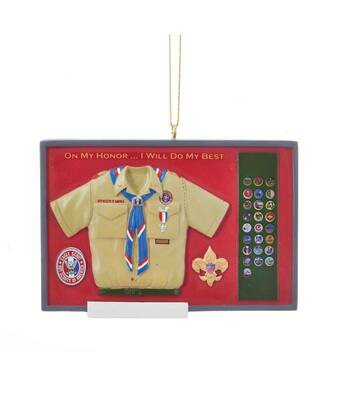 Boy Scouts Eagle Scout Shadow Box - No Box