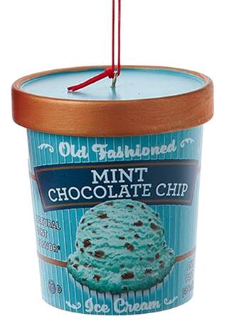 Food Gourmet Ice Cream Pint-Mint Chocolate Chip - No Box 67d