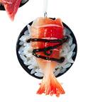 Food Gourmet Sushi Rice Bowl-Style C - No Box 52c
