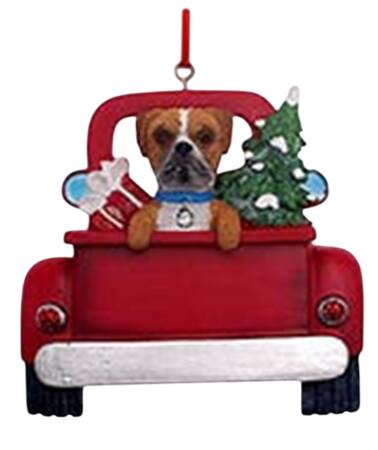 Dog Breeds in Trucks Boxer - No Box