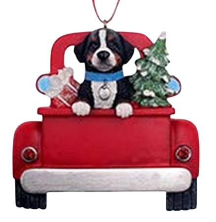 Dog Breeds in Trucks Bernese Mountain Dog - No Box