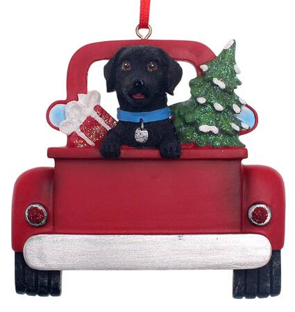 Dog Breeds in Trucks Black Labrador Retriever - No Box