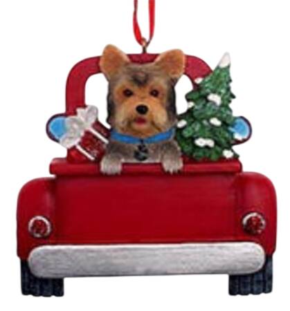 Dog Breeds in Trucks Yorkshire Terrier - No Box
