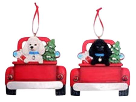 Dog Breeds in Trucks White Poodle - No Box