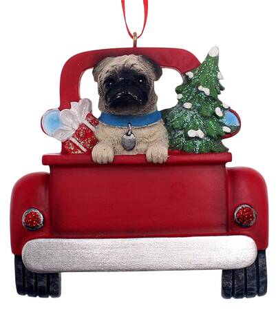 Dog Breeds in Trucks Pug - No Box
