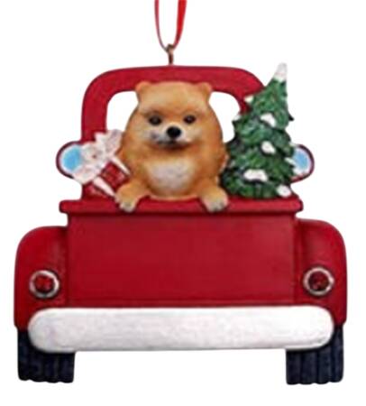 Dog Breeds in Trucks Pomeranian - No Box
