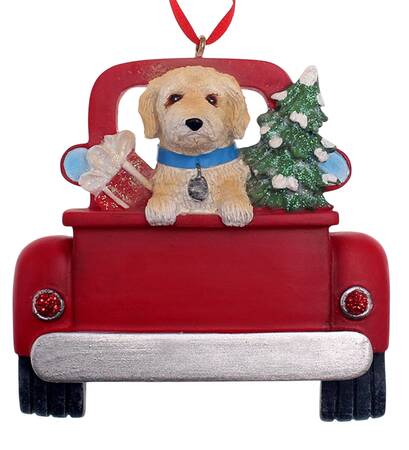 Dog Breeds in Trucks Labradoodle - No Box