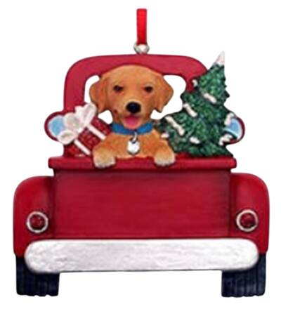 Dog Breeds in Trucks Golden Retriever - No Box
