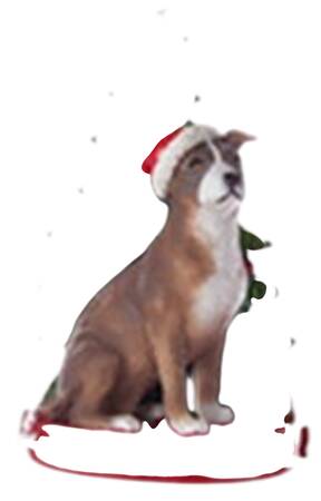 Pet Breeds with Christmas Trees Pitbull - No Box