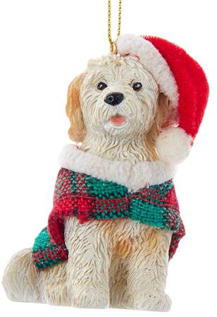 Dog Breeds with Sweaters Golden Doodle - No Box