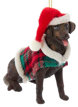 Dog Breeds with Sweaters Chocolate Labrador Retriever - No Box