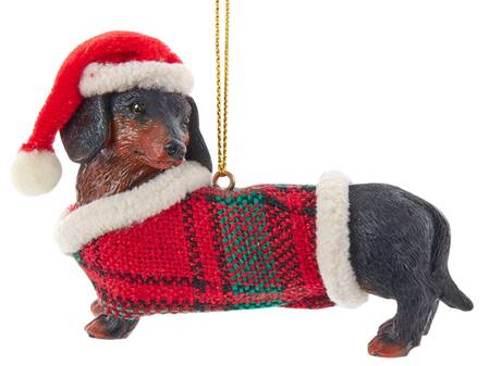 Dog Breeds with Sweaters Dachshund - No Box