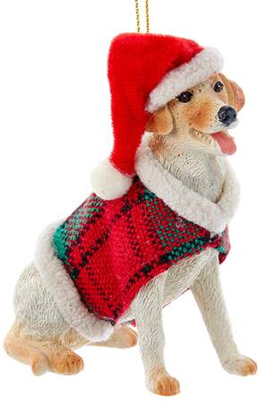 Dog Breeds with Sweaters Yellow Labrador Retriever - No Box