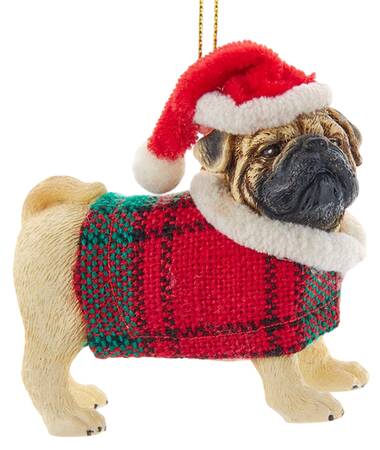 Dog Breeds with Sweaters Pug - No Box