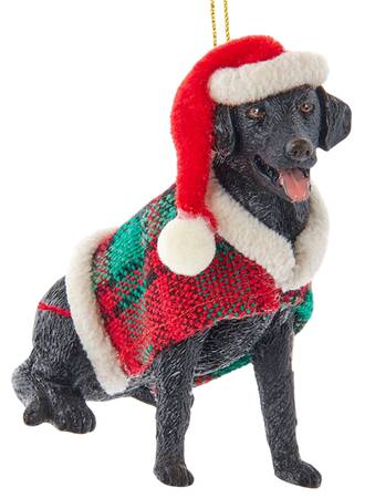 Dog Breeds with Sweaters Black Labrador Retriever - No Box