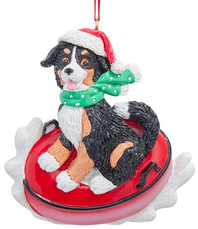 Dog Breeds on Snow Tubes Bernese Mountain Dog - No Box