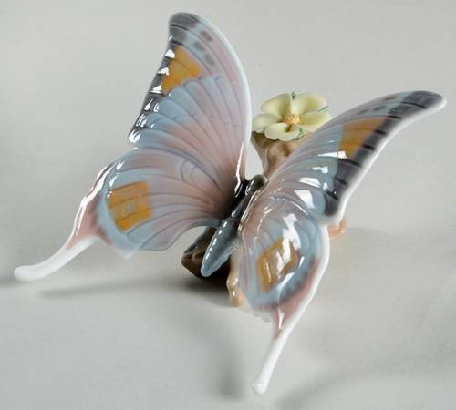 Butterflies From Nature's Palette - Boxed