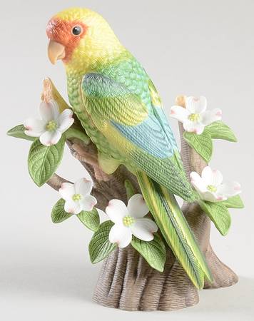 Exotic Birds Carolina Parakeet - Boxed