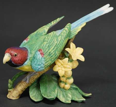 Exotic Birds Plum Headed Parakeet - Boxed