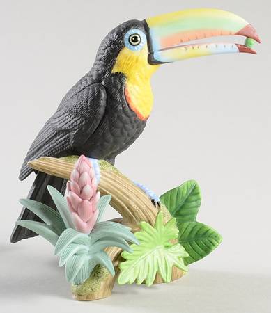 Exotic Birds Keel-Billed Toucan - Boxed