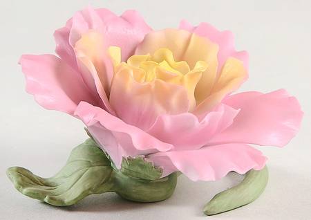 Garden Flowers Spring Accent Flower - Boxed