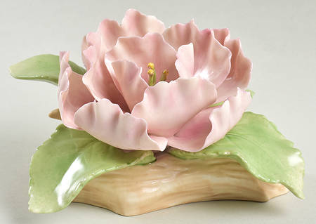 Garden Flowers Spring Peony Blossom - Boxed