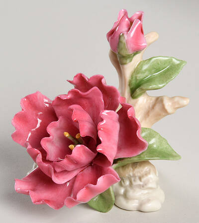 Garden Flowers Blooming Peony - Boxed