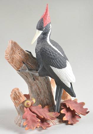 Garden Birds Ivory Billed Woodpecker - No Box