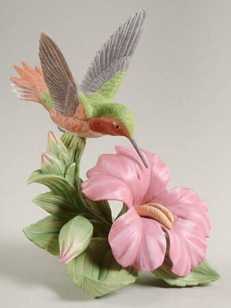 Garden Birds Allen's Hummingbird - Boxed