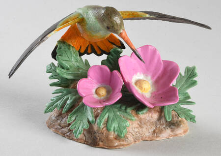 Garden Birds Buff-Bellied Hummingbird - Boxed