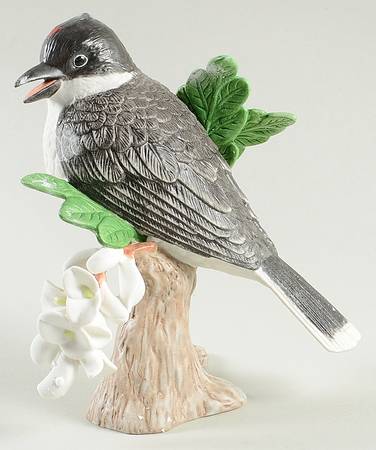 Garden Birds Eastern Kingbird - No Box