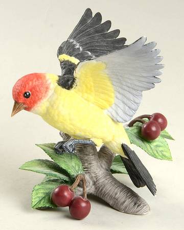 Garden Birds Western Tanager - Boxed